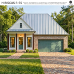 Hibiscus B-SS