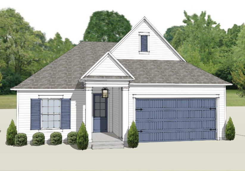 Magnolia-A-2D-Rendering